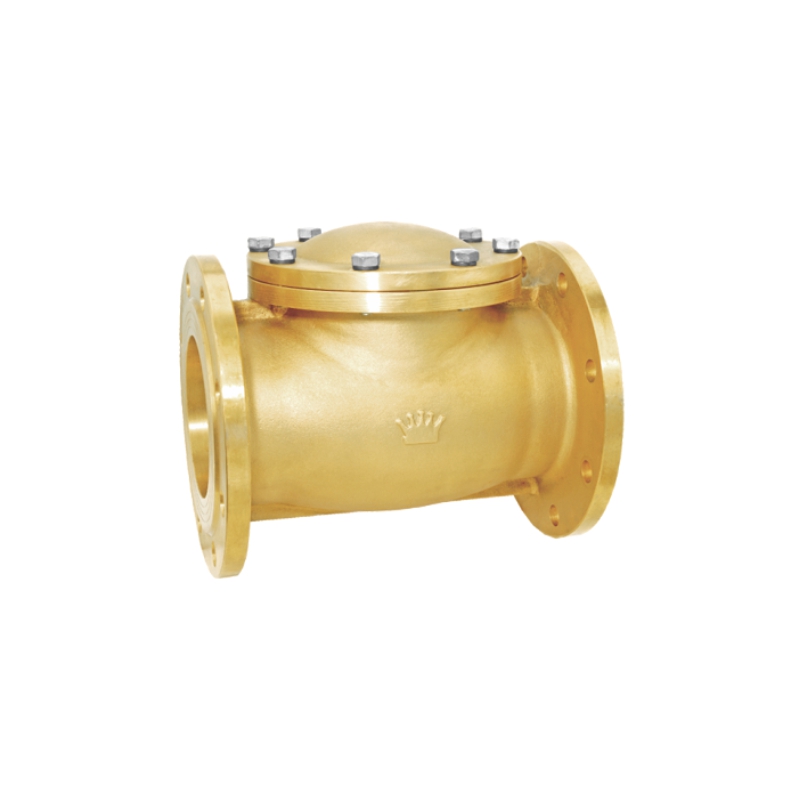 1012 法兰止回阀