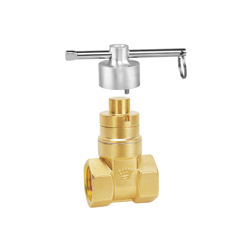 2018(限开) 磁性锁闭闸阀