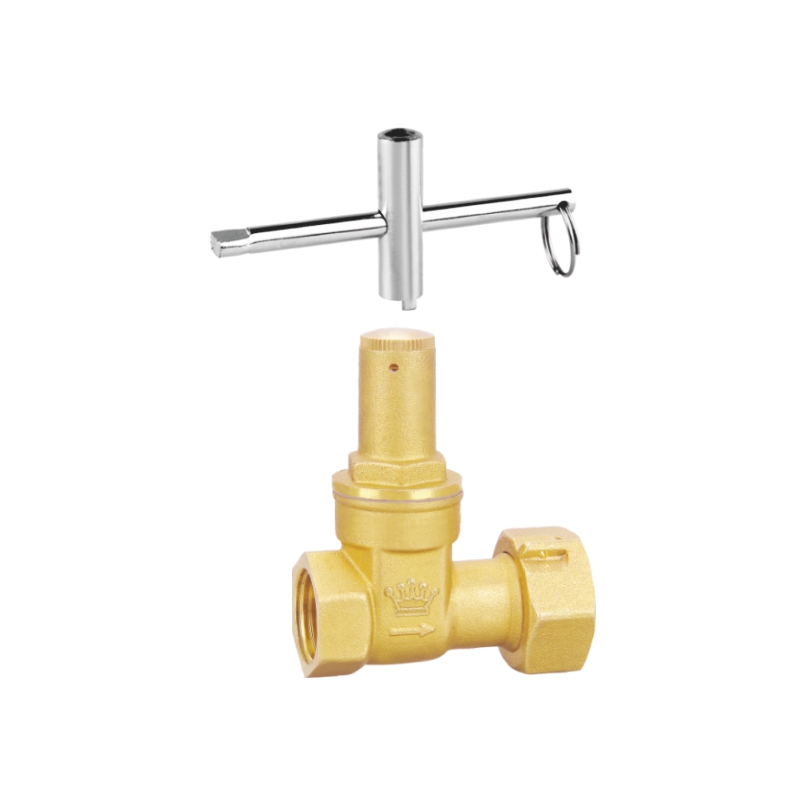 2017 防干扰表前组合阀