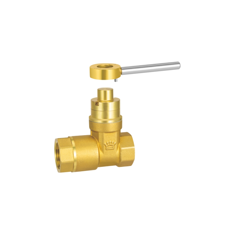 2039 磁性止回闸阀