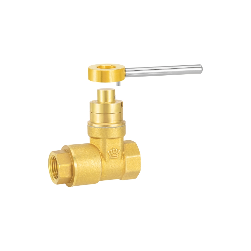 2039 (异径) 磁性止回闸阀