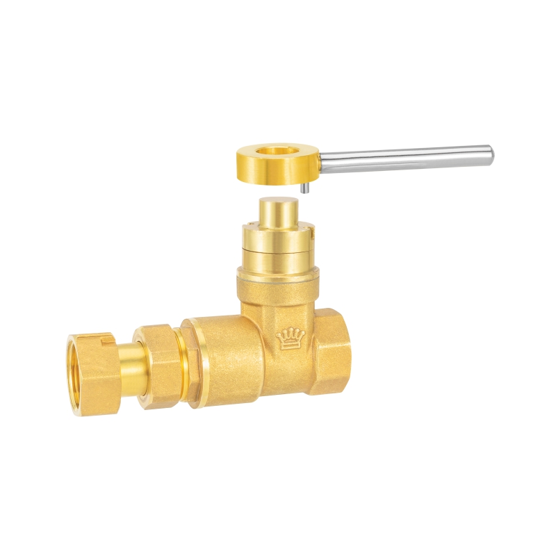 2055 磁性锁闭水表伸缩止回闸阀